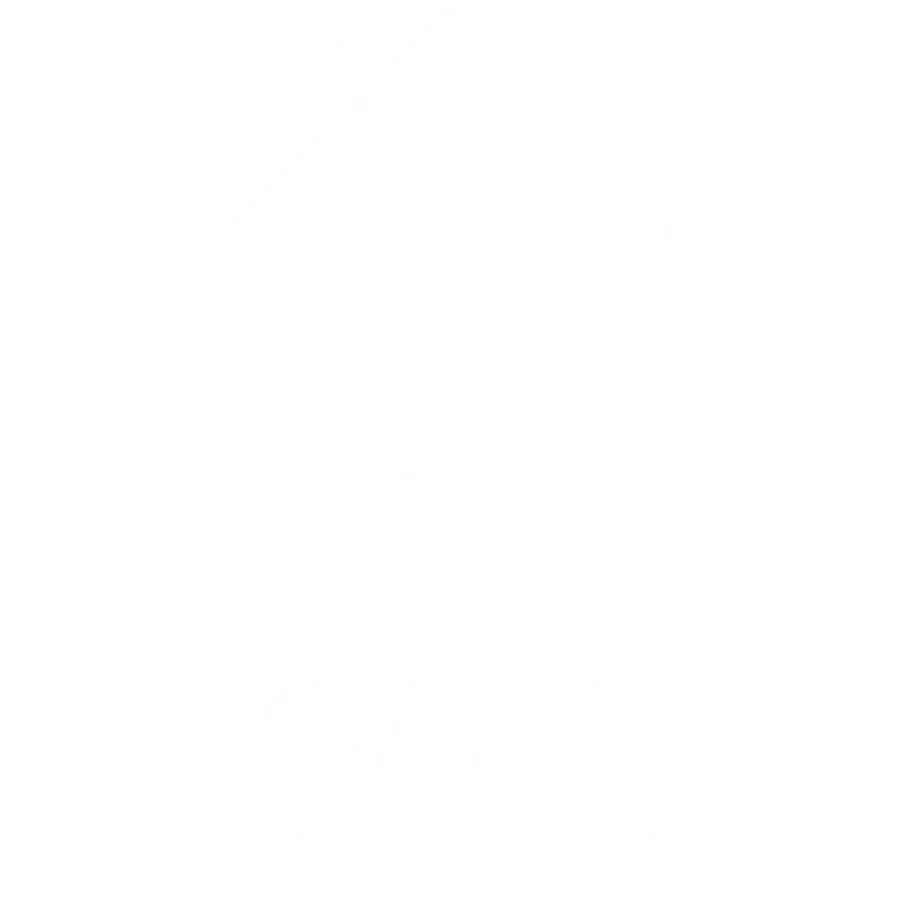 Casa Logo White Transparent